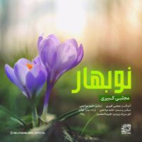 دانلود آهنگ مجتبی کبیری نوبهار (عیدانه)